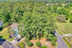 100 Harbor Oaks Dr.  photo 4