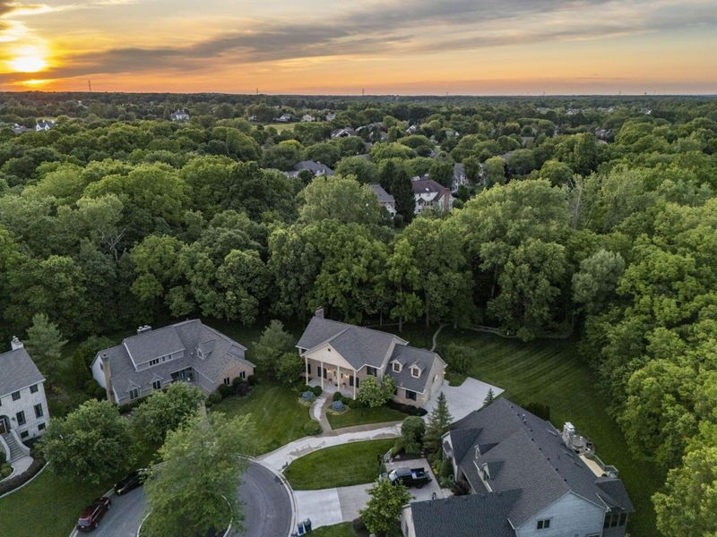 9124 Preswick Court, Dublin, OH 43017 Photo 57