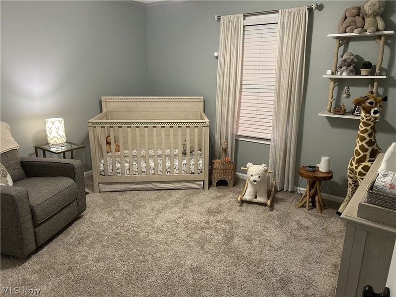 8575 Park Ridge Lane, Macedonia, OH 44056 Photo 14