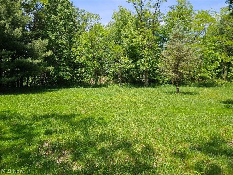 37670 Miller Road, Lisbon, OH 44432 Photo 11