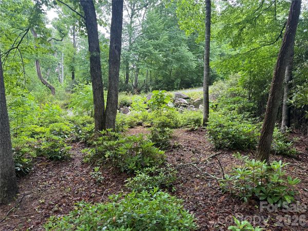 TBD Dogwood Trail , Spruce Pine, NC 28777