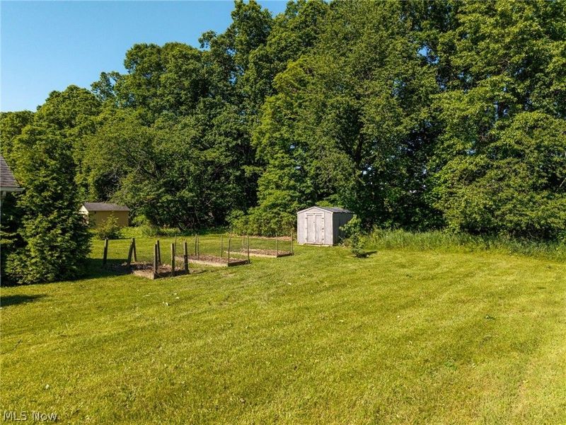 3029 Cinnamon Drive W, West Salem, OH 44287 Photo 6