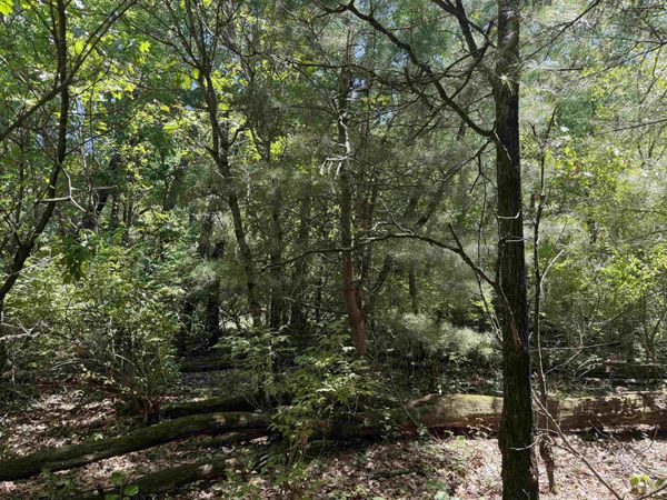 5+ Acre 8th Avenue, Wisconsin Dells, WI 53965