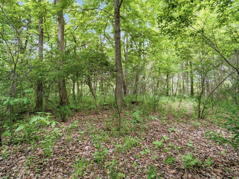 0 Wolfpen Pleasant Hill Road, Miami Twp, OH 45150 Photo 4