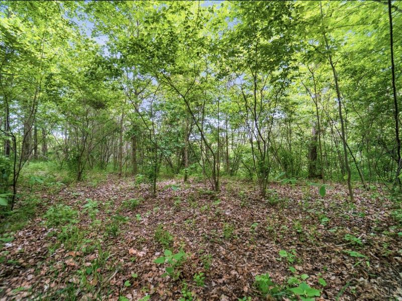 0 Wolfpen Pleasant Hill Road, Miami Twp, OH 45150 Photo 5