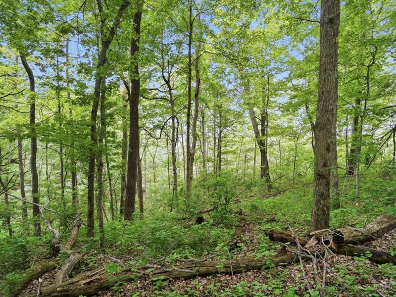 0 Wolfpen Pleasant Hill Road, Miami Twp, OH 45150 Photo 6