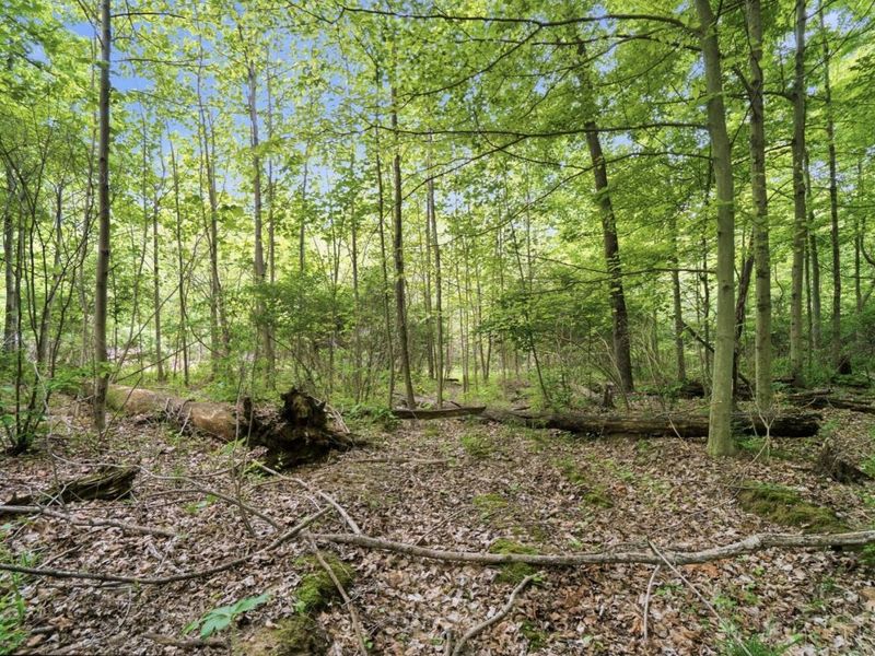 0 Wolfpen Pleasant Hill Road, Miami Twp, OH 45150 Photo 7