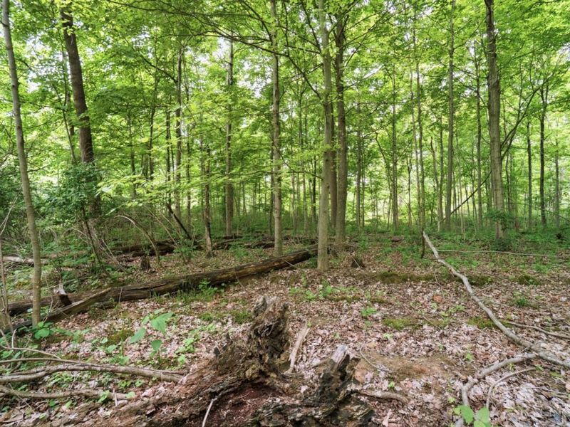 0 Wolfpen Pleasant Hill Road, Miami Twp, OH 45150 Photo 8