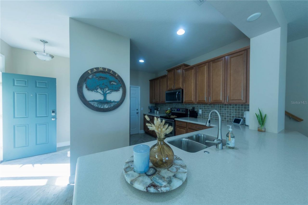 17459 Chateau Pine Way, Clermont, FL 34711 Photo