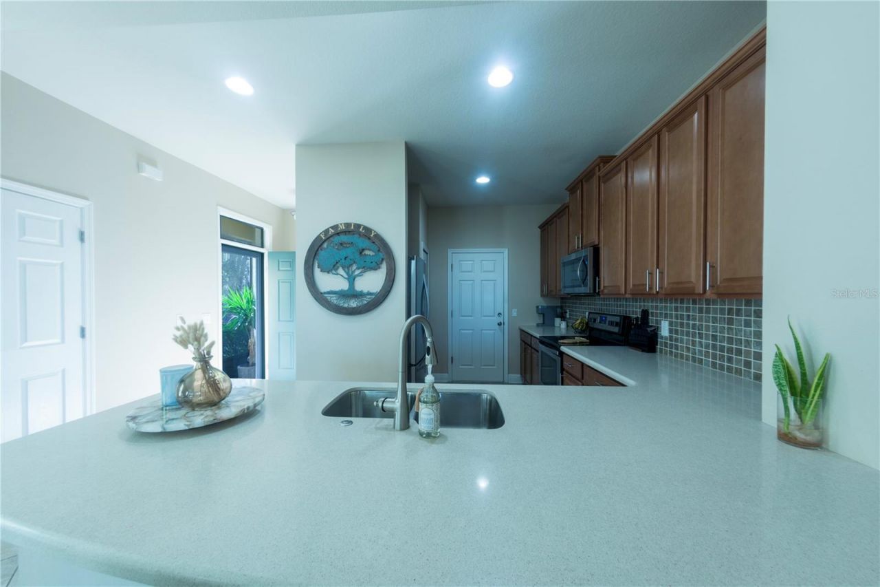 17459 Chateau Pine Way, Clermont, FL 34711 Photo