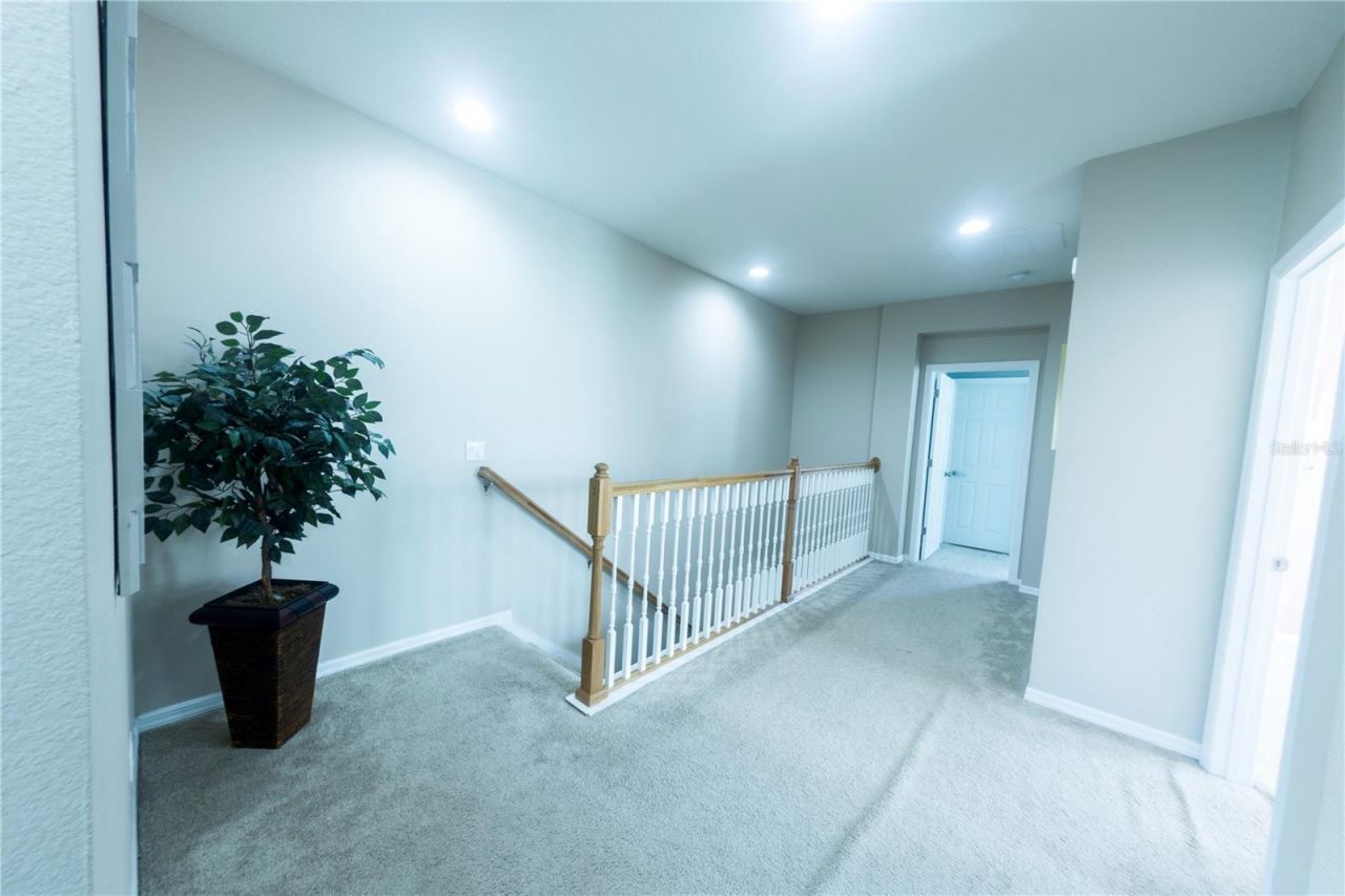 17459 Chateau Pine Way, Clermont, FL 34711 Photo