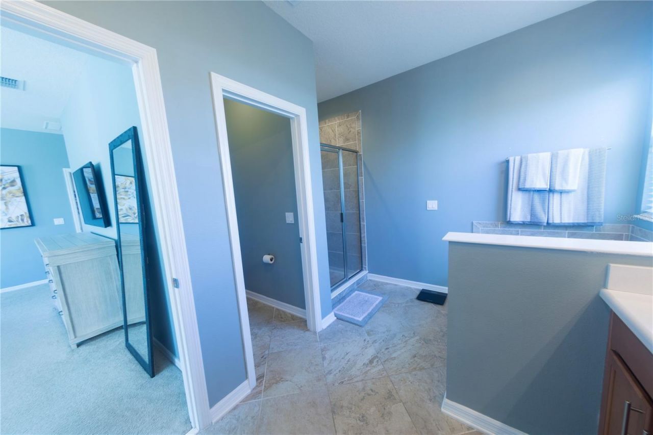 17459 Chateau Pine Way, Clermont, FL 34711 Photo