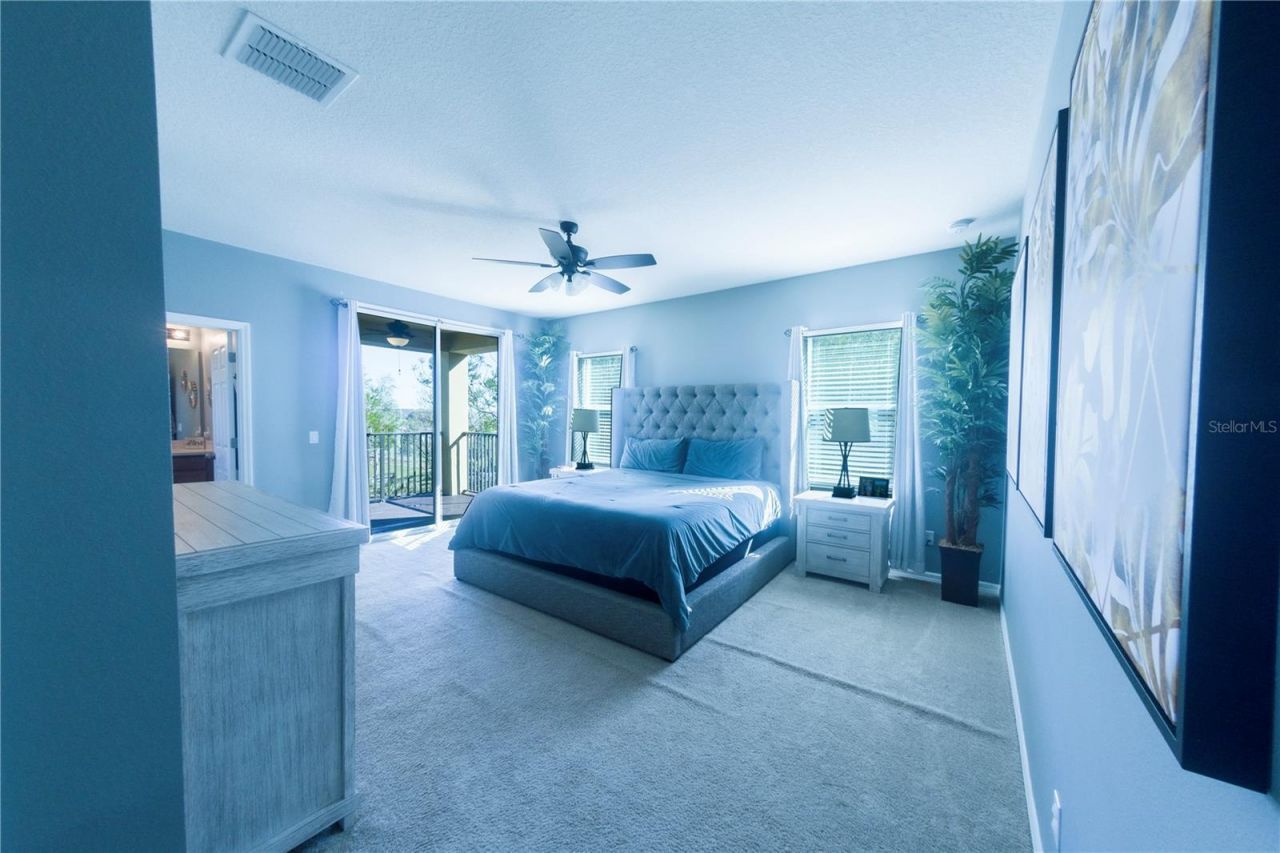 17459 Chateau Pine Way, Clermont, FL 34711 Photo