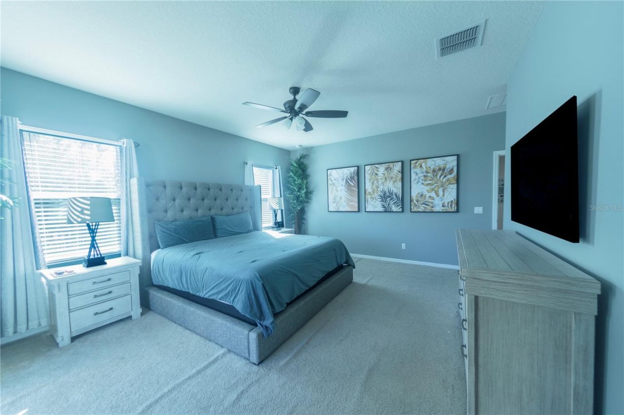 17459 Chateau Pine Way, Clermont, FL 34711 Photo