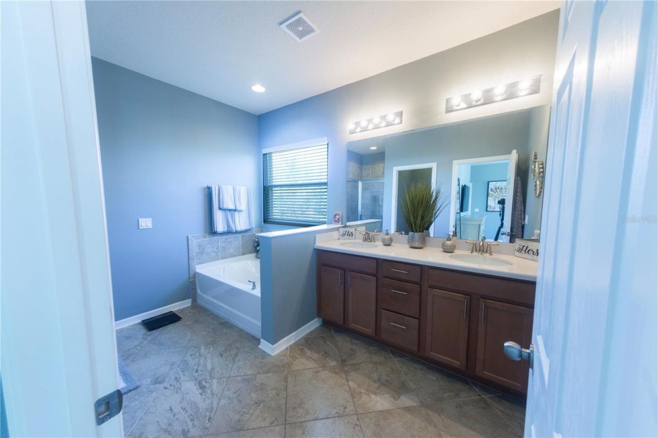 17459 Chateau Pine Way, Clermont, FL 34711 Photo