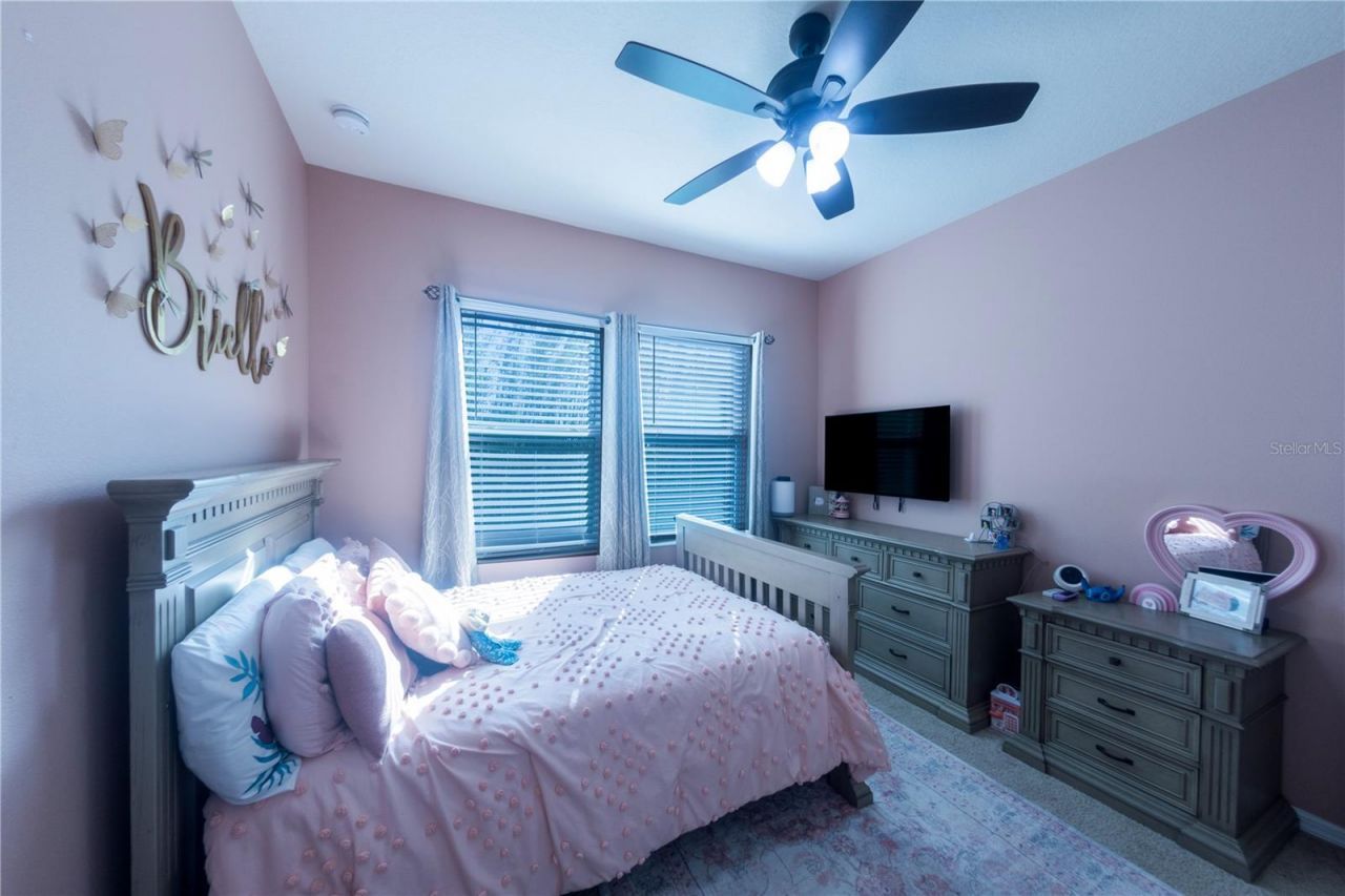 17459 Chateau Pine Way, Clermont, FL 34711 Photo
