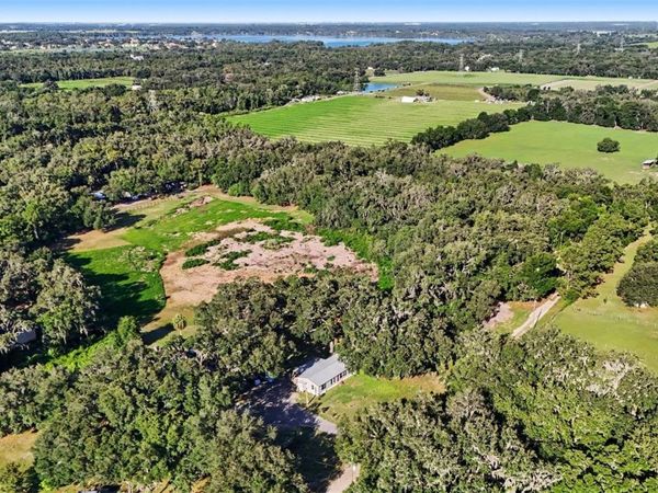 12709 CHIHUAHUA COURT , THONOTOSASSA, FL 33592
