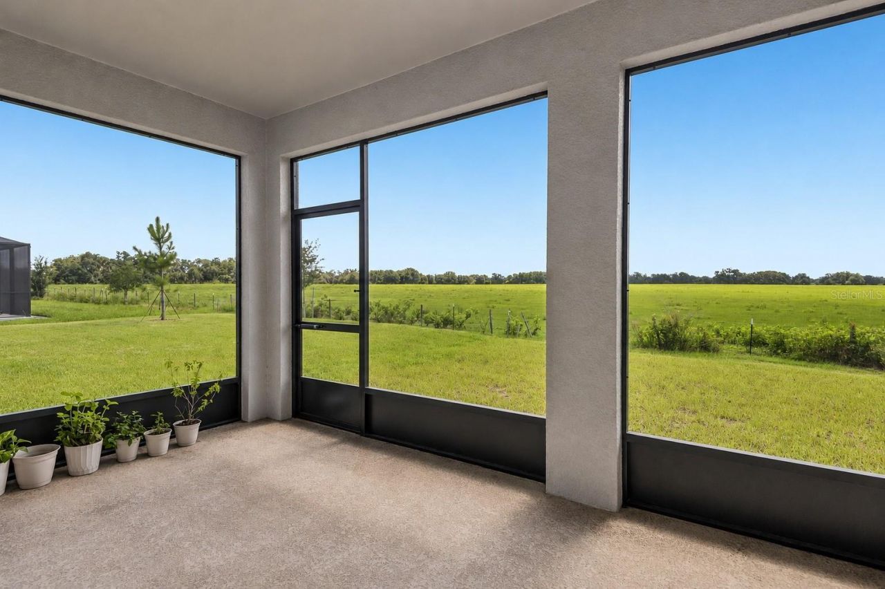 33508 Darley Dale Trail , Wesley Chapel, FL 33545 Photo