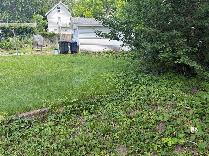 1011 Chalker Street, Akron, OH 44310 Photo 16