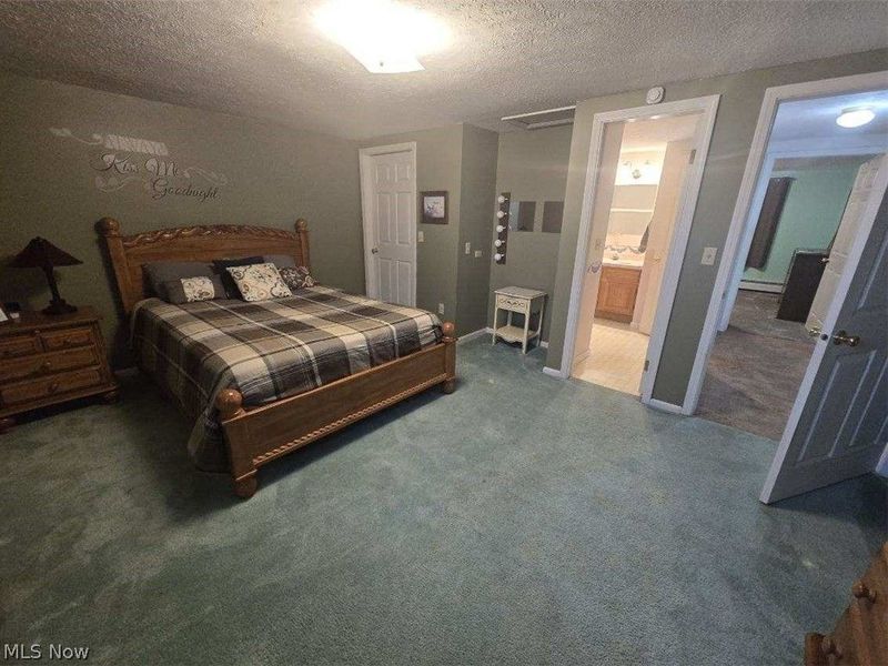 387 Stable Drive, Lagrange, OH 44050 Photo 14