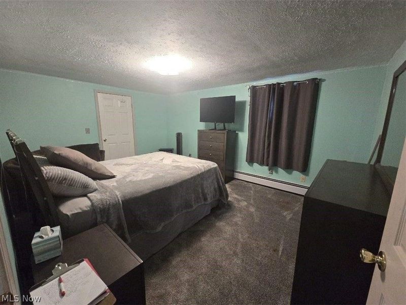 387 Stable Drive, Lagrange, OH 44050 Photo 19
