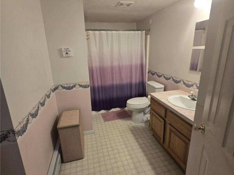 387 Stable Drive, Lagrange, OH 44050 Photo 21