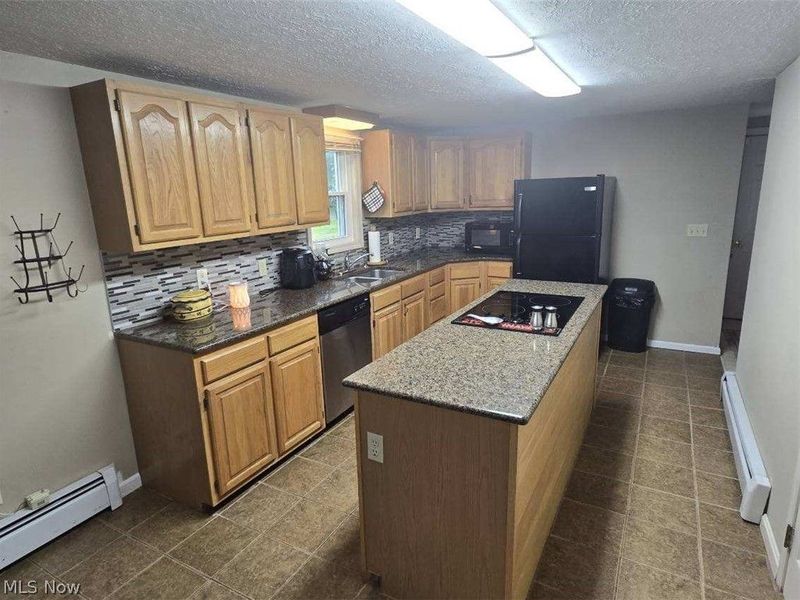 387 Stable Drive, Lagrange, OH 44050 Photo 4