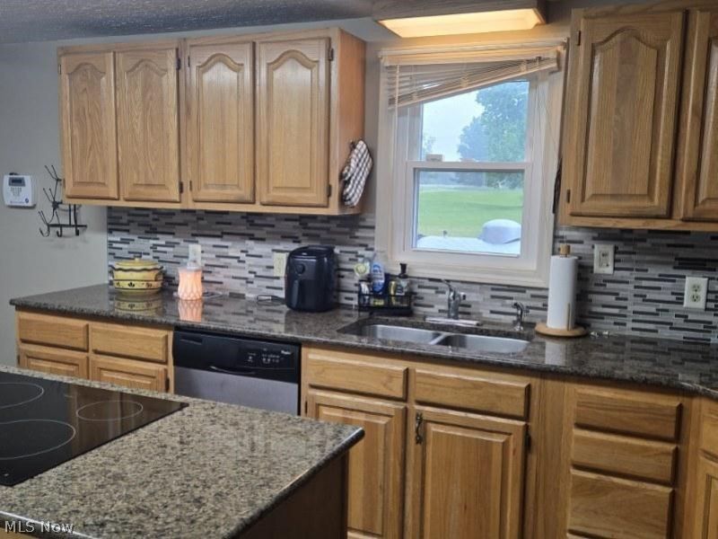 387 Stable Drive, Lagrange, OH 44050 Photo 5