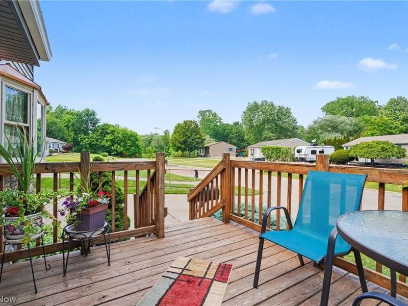 806 Tallkron Drive, Akron, OH 44305 Photo 30