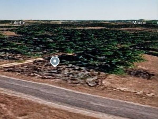 LOT 48 Pope Road, Roberta, GA 31078