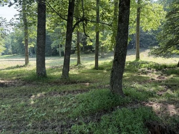 0 Lot 6 Clear Creek Preserve Way, Ellijay, GA 30536