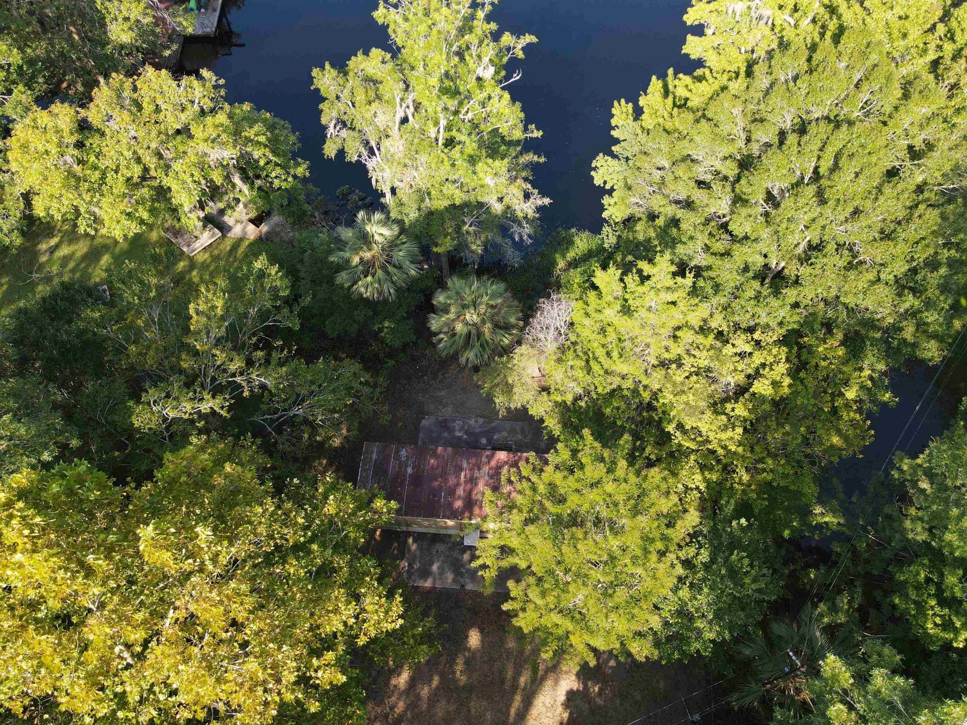 23210 Nutall Rise Road , Lamont, FL 32336 Photo