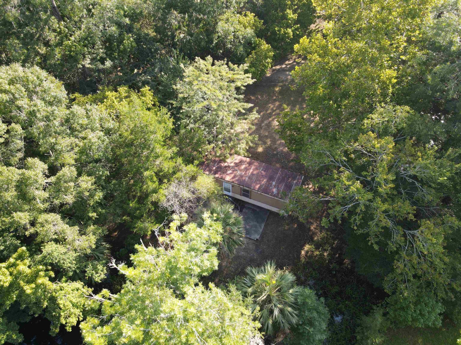 23210 Nutall Rise Road , Lamont, FL 32336 Photo