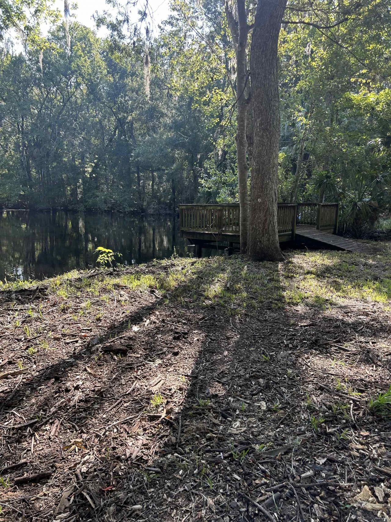 23210 Nutall Rise Road , Lamont, FL 32336 Photo