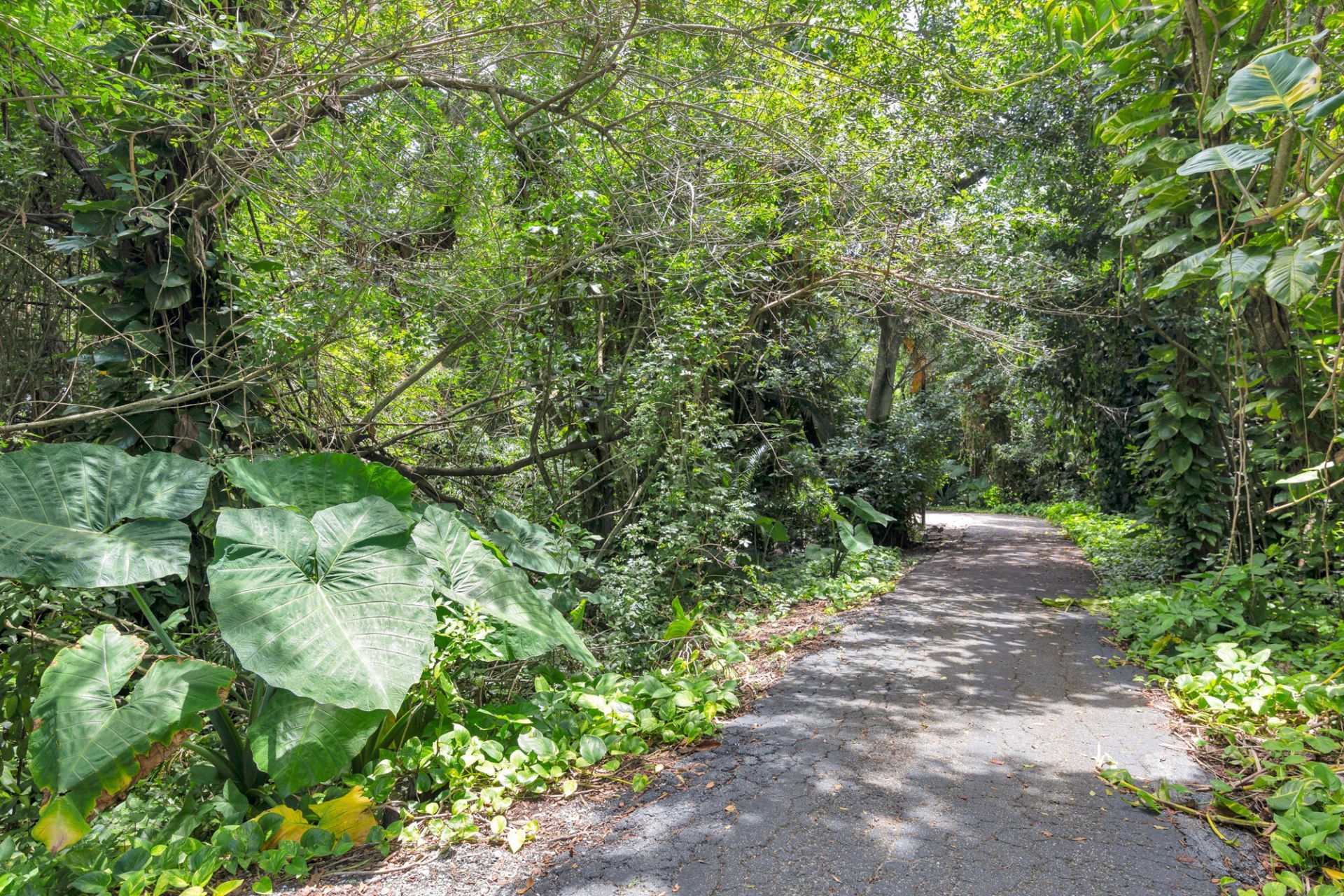 1008 Green Pine Boulevard, Unit H3, West Palm Beach, FL 33409 Photo