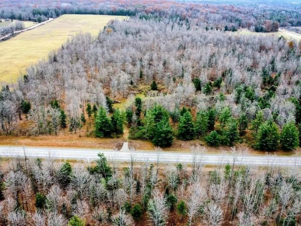 38.76 AC N Michigan 65 Highway, Curran, MI 48728