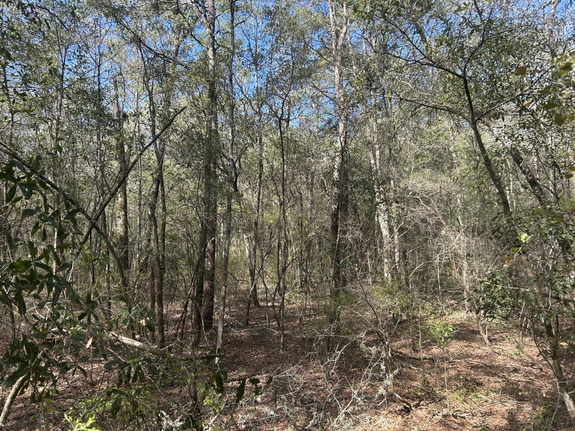 11 Boat Landing Road Photo 10
