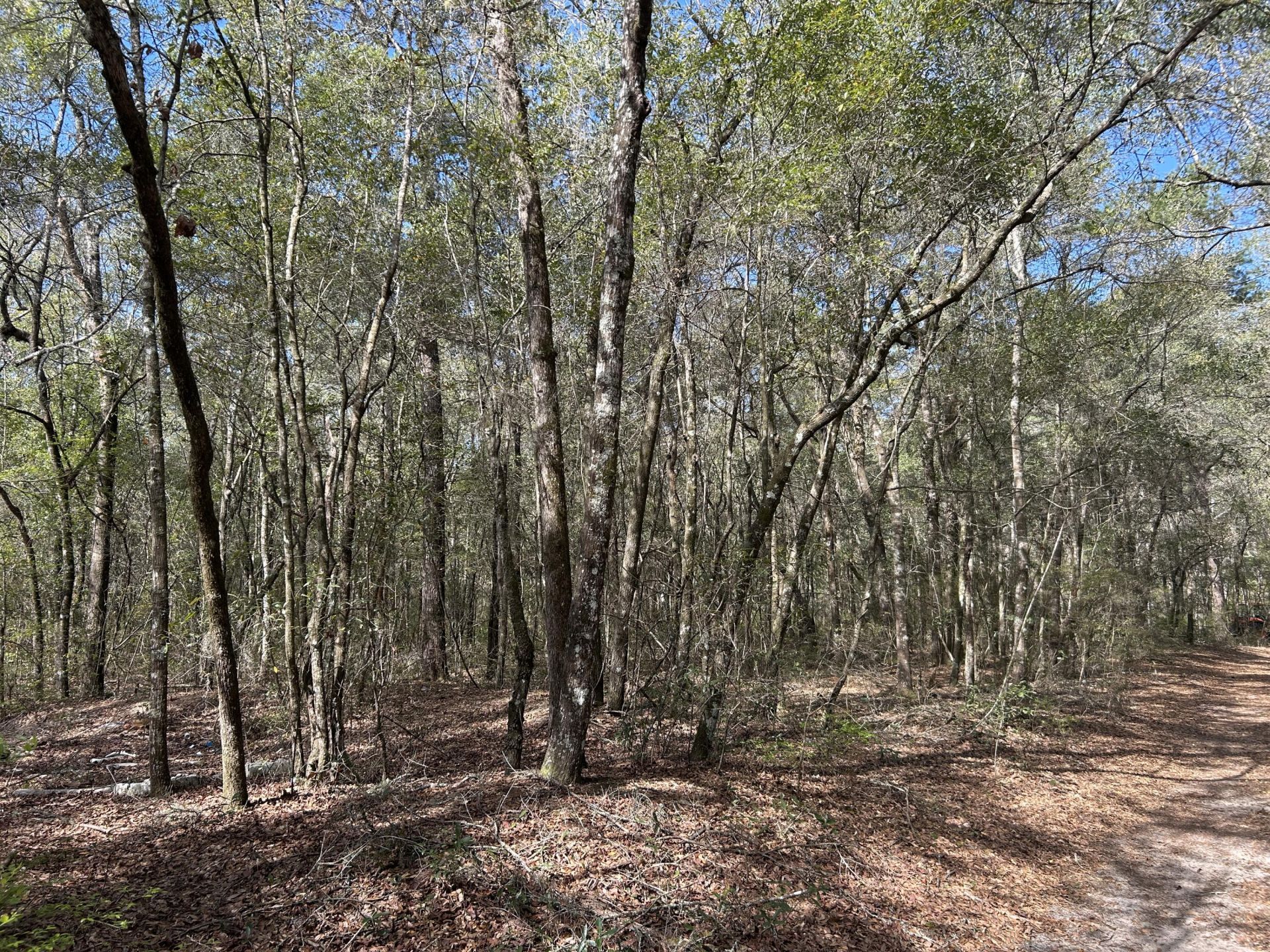 11 Boat Landing Road Photo 11