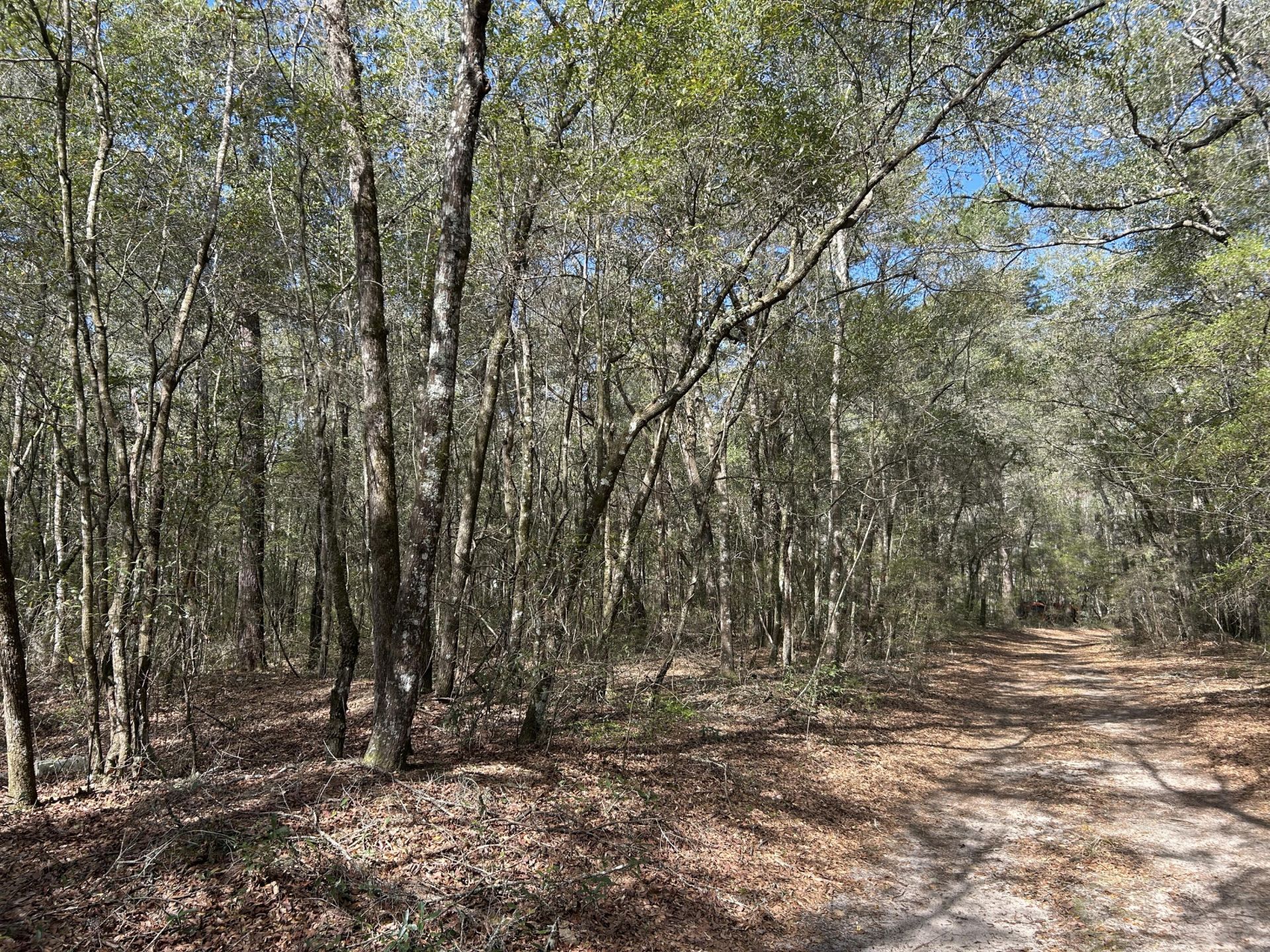 11 Boat Landing Road Photo 12