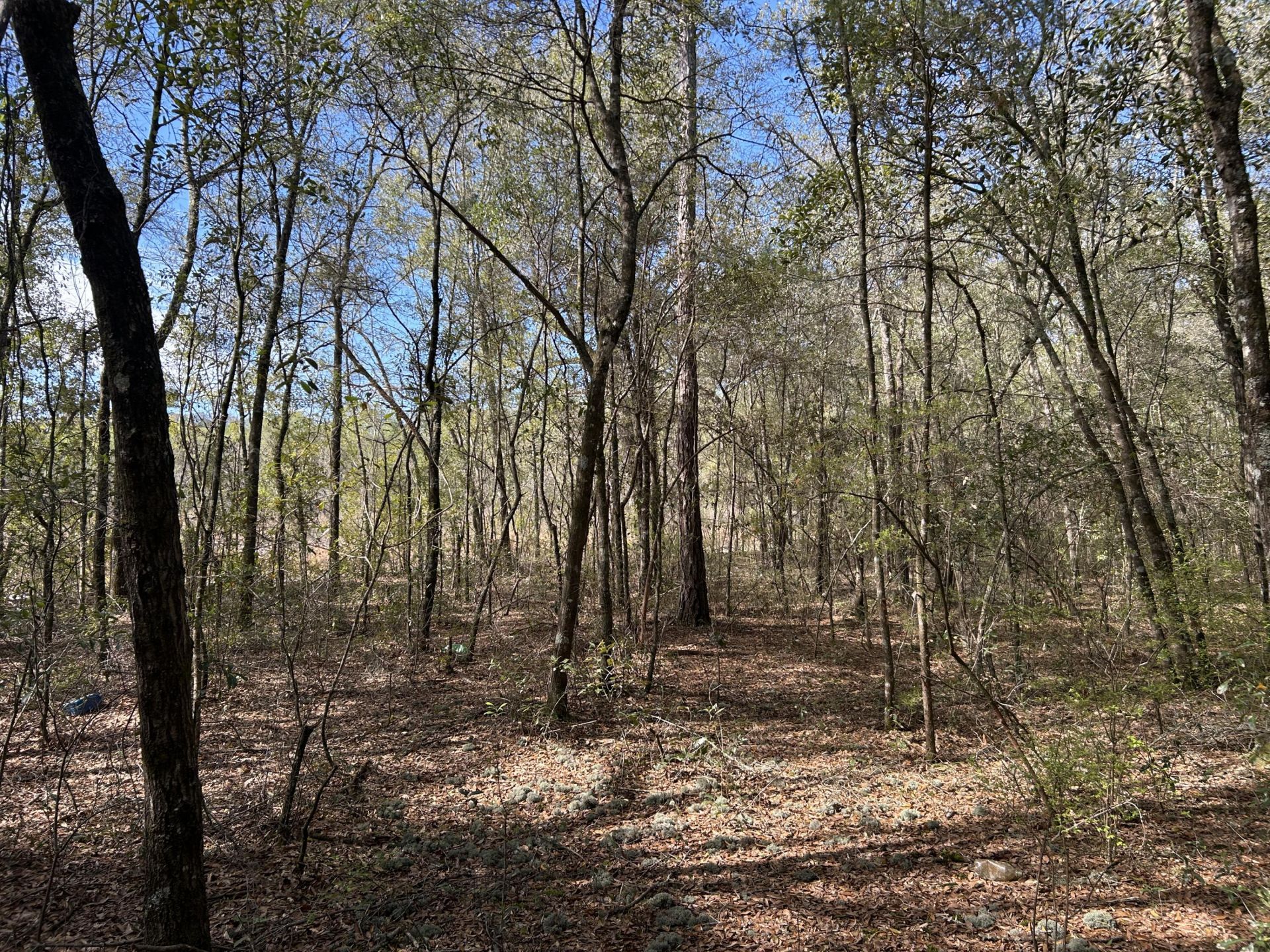 11 Boat Landing Road Photo 13