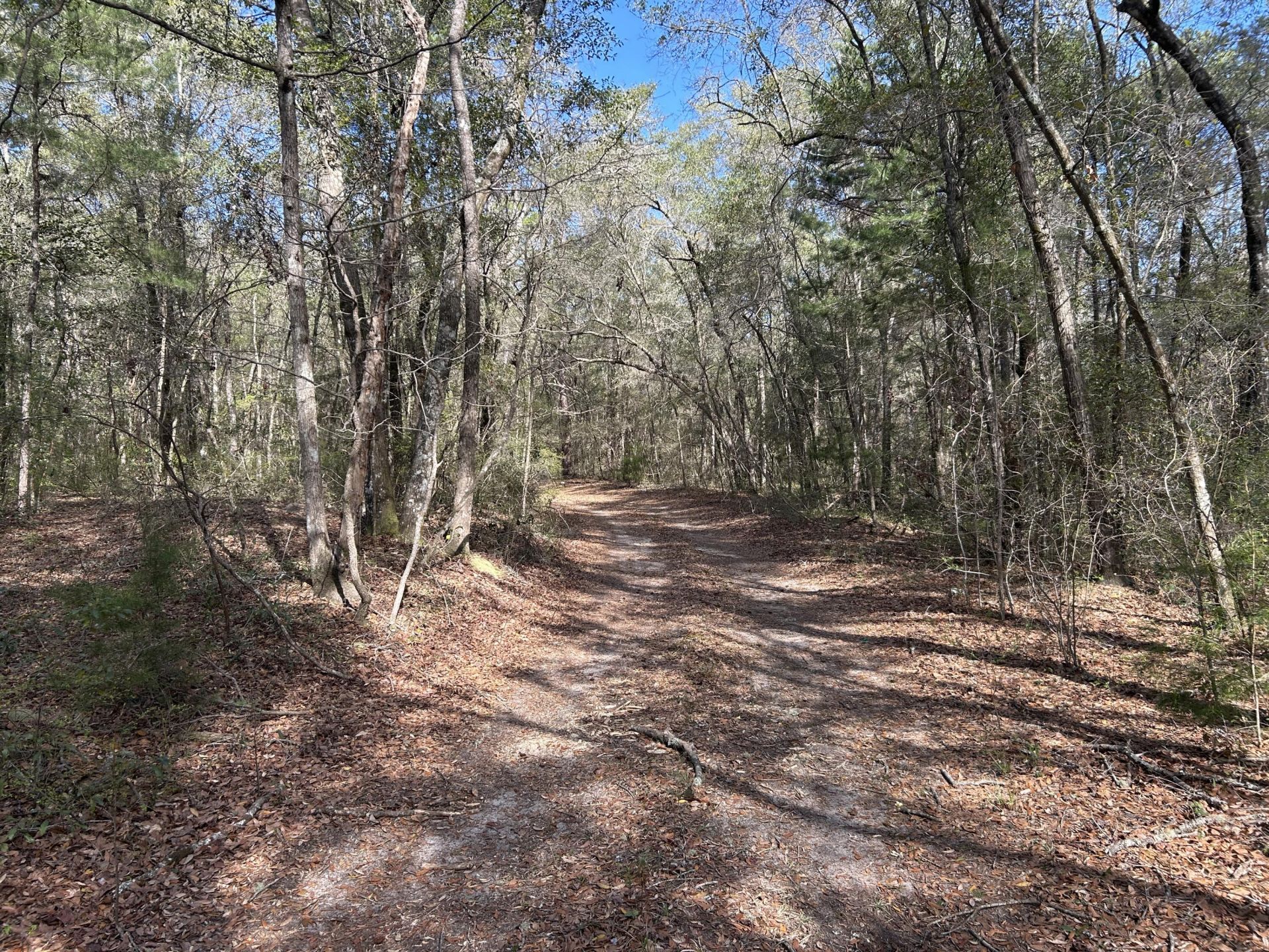 11 Boat Landing Road Photo 16