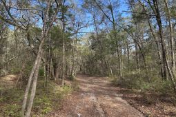11 Boat Landing Road photo 4
