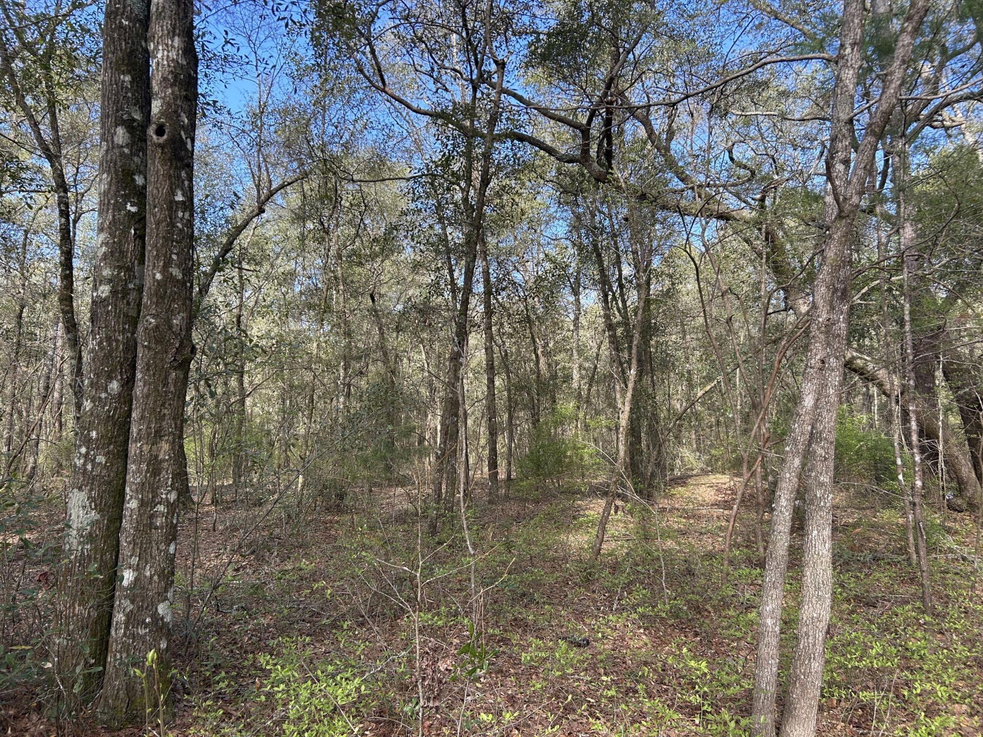 11 Boat Landing Road Photo 4