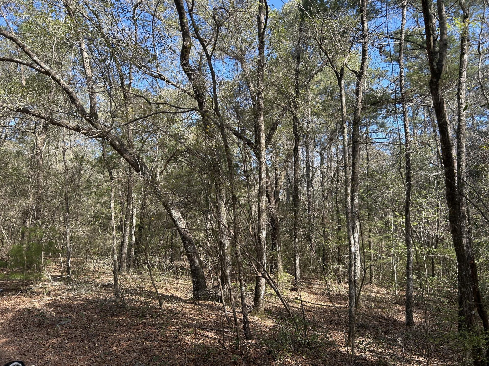 11 Boat Landing Road Photo 5