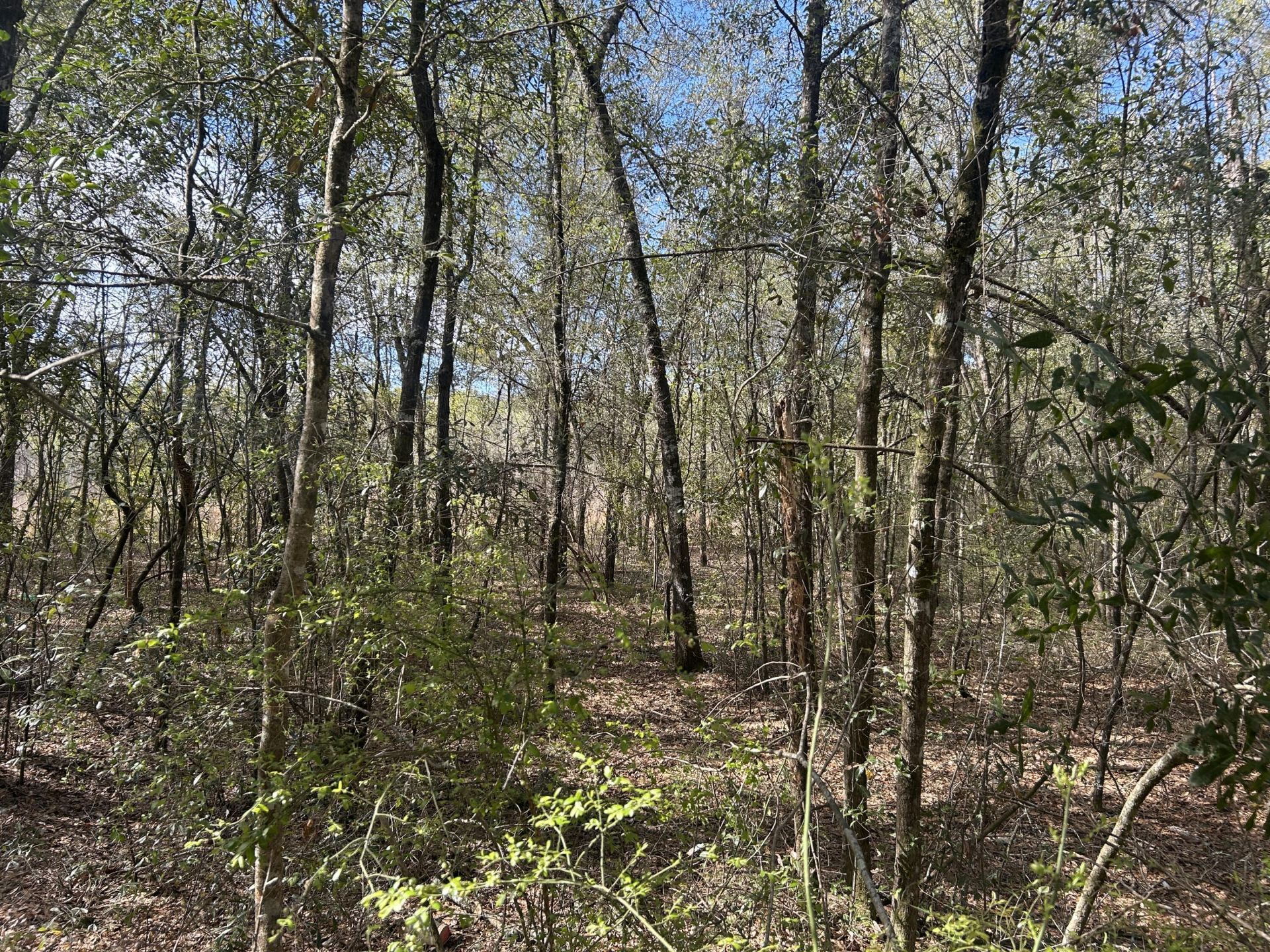 11 Boat Landing Road Photo 8