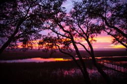 1721 Live Oak Park photo 4