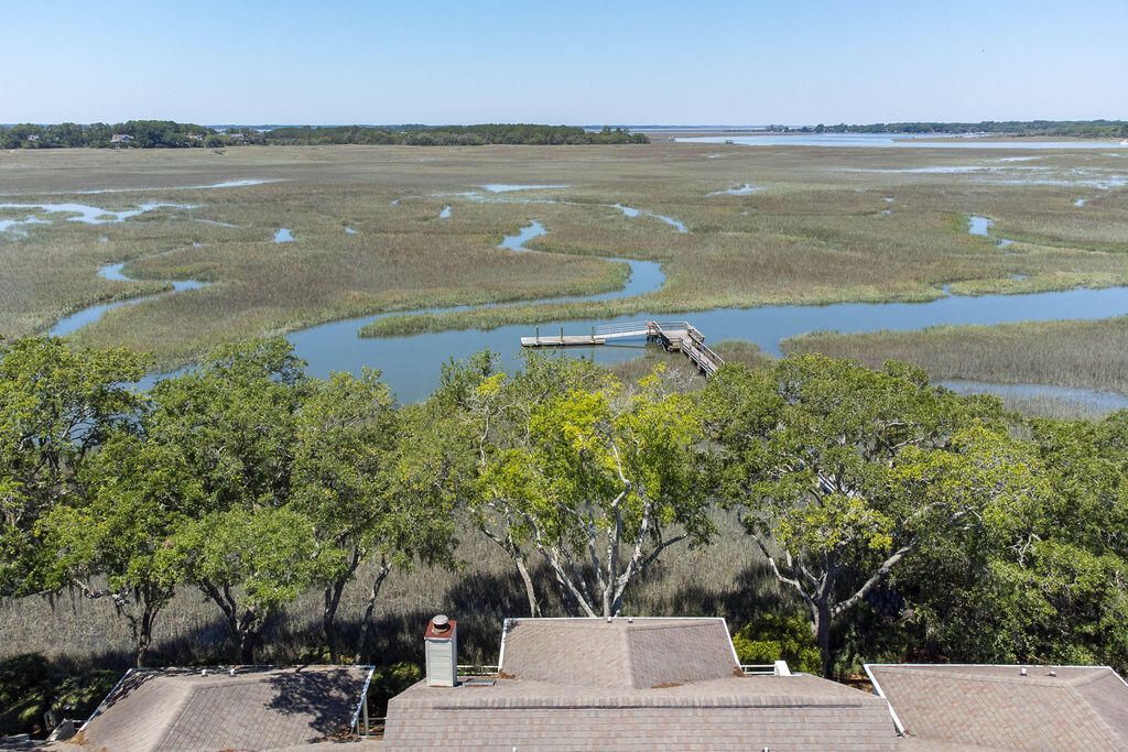 1721 Live Oak Park Photo 45