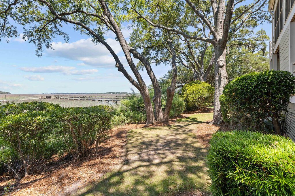 1721 Live Oak Park Photo 6