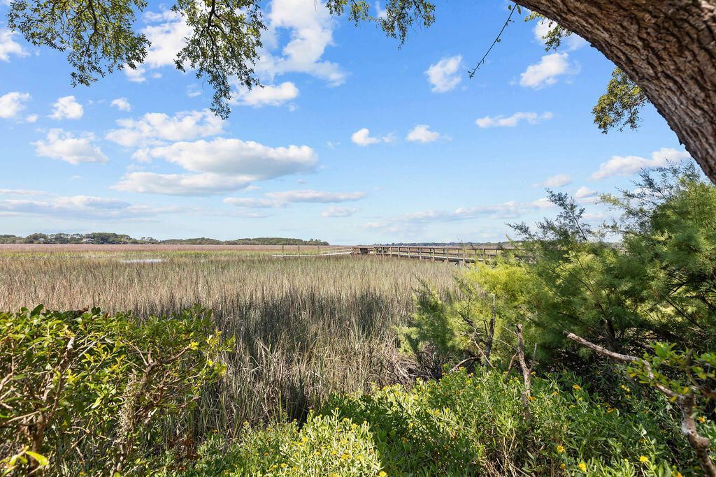 1721 Live Oak Park Photo 7