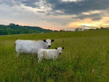 154-B Double Culvert Road, Georgetown, KY 40324